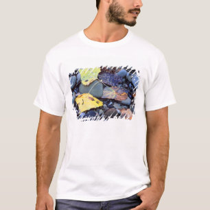 T-shirt Feuille de peuplier de Fremont sur plaine inondabl
