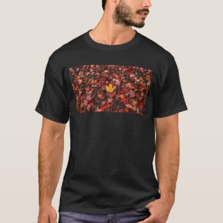 T-shirt Feuilles d'automne