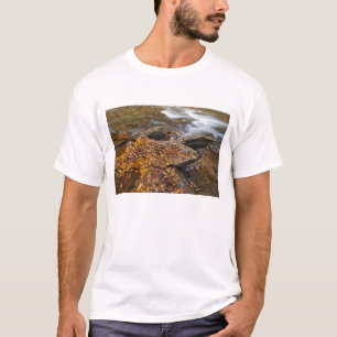 T-shirt Feuilles d'automne le long de Looking Glass Creek 