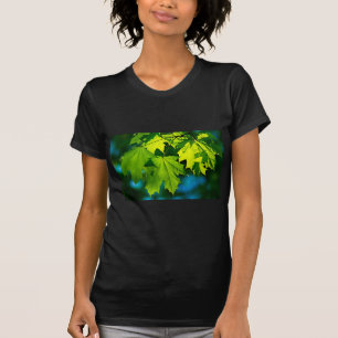 T-shirt Feuilles d'érable vert frais