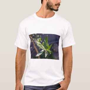 T-shirt Feuilles d'olivier