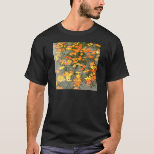 T-shirt feuilles tombés sous la pluie