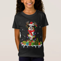 Feux de Noël du berger australien de Noël Père Noë