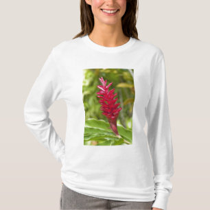 T-shirt Fidji, île de Viti Levu. Fleur.