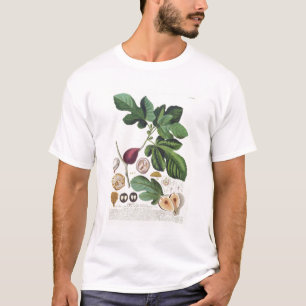 T-shirt Figue, gravée par 1704-67) plats de Johann Jakob