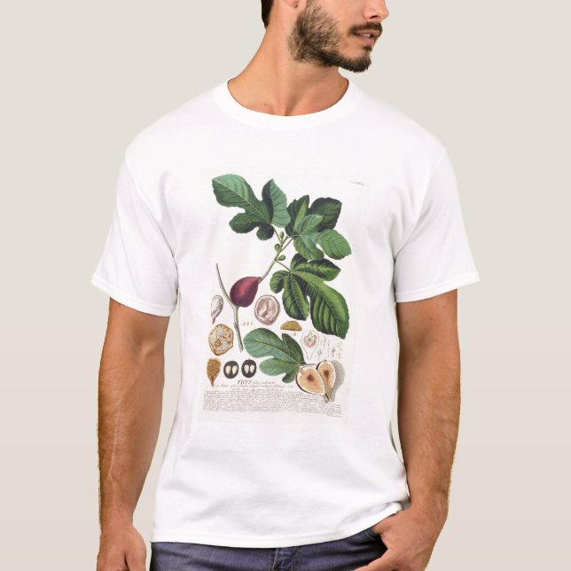 T-shirt Figue, gravée par 1704-67) plats de Johann Jakob (Devant)