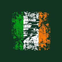 FITNESS IRLAND RUNNER GYM CROSS TRAINING POIDS