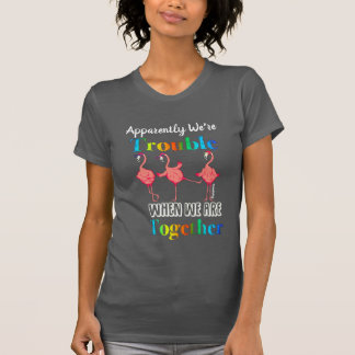 T-shirt Flamant rose apparemment nous sommes problème
