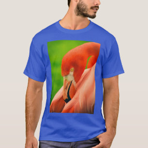 T-shirt Flamant rose Flamenco Long