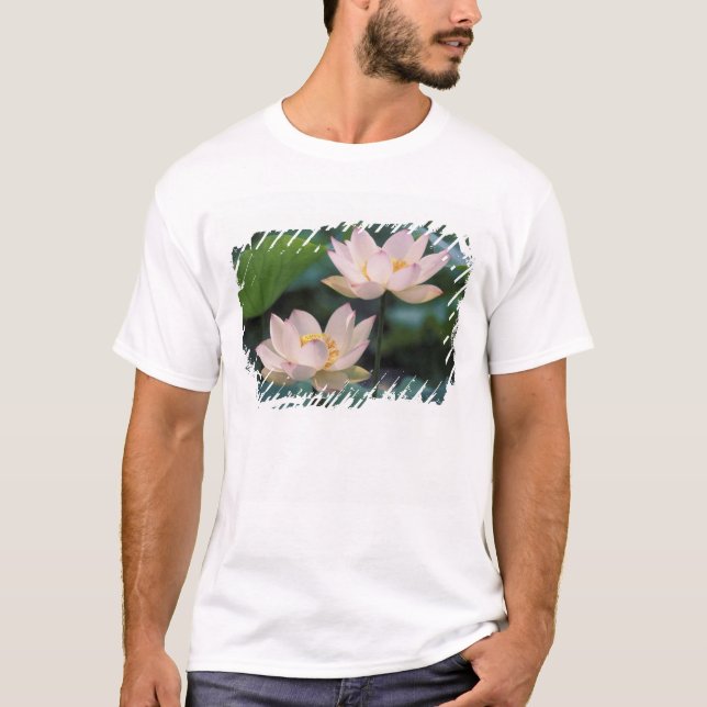 T-shirt Fleur de Lotus en fleurs, Chine (Devant)