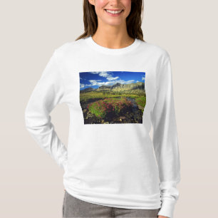 T-shirt Fleur de singe au col Logan dans le Glacier Nation