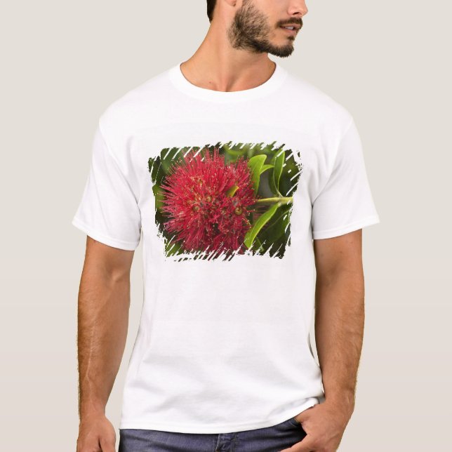 T-shirt Fleur Pohutukawa, Dunedin (Devant)