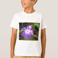 Fleur sauvage californien