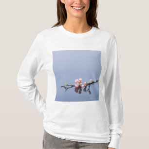 T-shirt Fleurs de cerisier sur l'eau