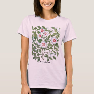 T-shirt Fleurs d'Hibiscus Vintage par Basilius Besler