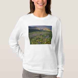 T-shirt Fleurs sauvages de la prairie remplissant une prai