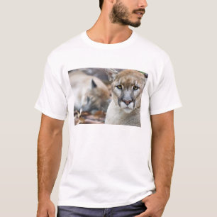 T-shirt Floride Panther