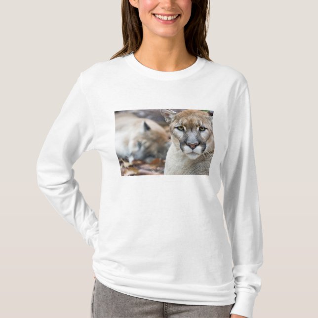 T-shirt Floride Panther (Devant)