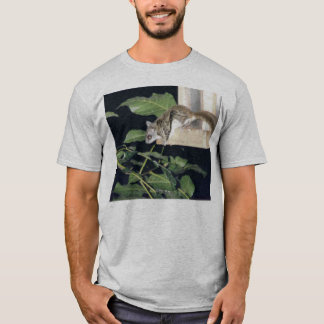 T-shirt FlyingSquirrel