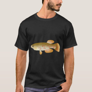 T-shirt Fondulus rayé (F. chrysotus)