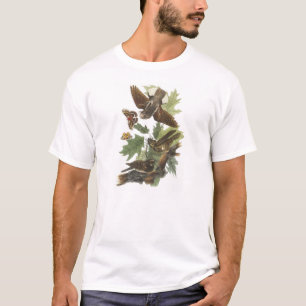 T-shirt Fouet-pauvre- par Audubon