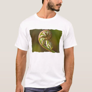T-shirt Fougère de Fiddlehead