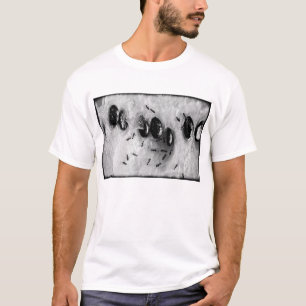 T-shirt fourmis de surf