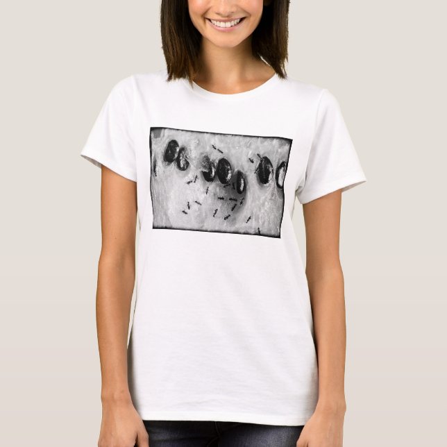T-shirt fourmis faisant du surf (Devant)