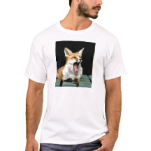 Fox - photo pro