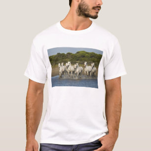 T-shirt France, Camargue. Les chevaux courent à travers l'