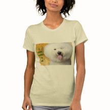 T - Shirt Funny Dog Print a Wink sagt, es alles