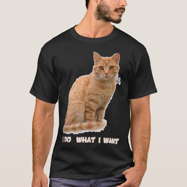 T-shirt Funny Orange Tabby Cat Lovers Gifts (Devant)