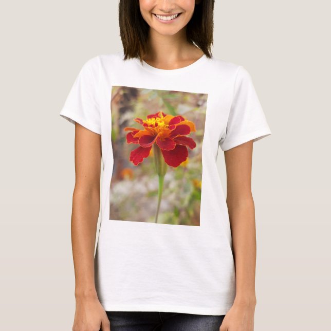 T - Shirt für die Arbeitshygiene (Vorderseite)