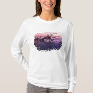 T-shirt GA Jekyll Island, un cimetière arboré sur la plage