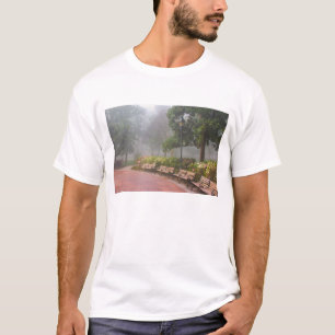 T-shirt GA Savannah, Azalées le long d'un trottoir en briq