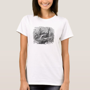 T-shirt Gazelle vintage d'antilope de springbok