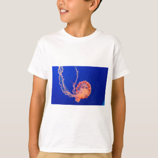 T-shirt gelée
