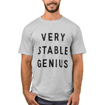 Génie très stable