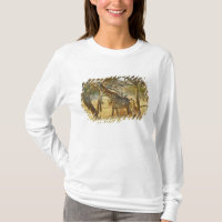 Girafe femelle adulte et juvénile, Giraffa