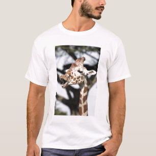 T-shirt Girafe réticulé au visage drôle, San Francisco