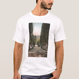 T-shirt Glenwood Springs, le Colorado