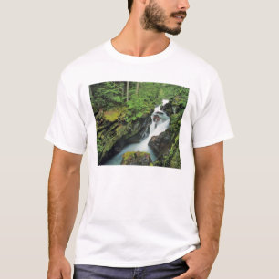 T-shirt Gorge de l'Avalanche dans le parc national de Glac