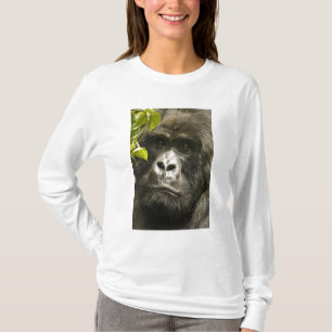 T-shirt Gorille des montagnes, Gorilla beringei beringei,