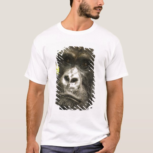 T-shirt Gorille des montagnes, Gorilla beringei beringei, (Devant)