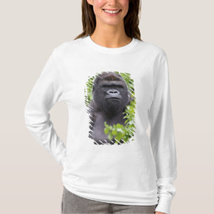 T-shirt Gorille des plaines à dos argenté, Gorilla gorilla