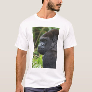 T-shirt Gorille des plaines à dos argenté, gorille captif