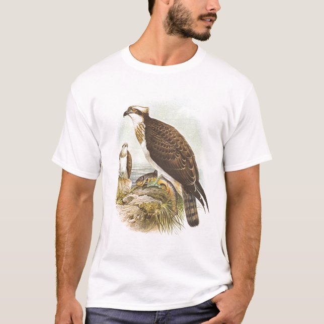 T-shirt Gould - balbuzard - haliaetus de Pandion (Devant)