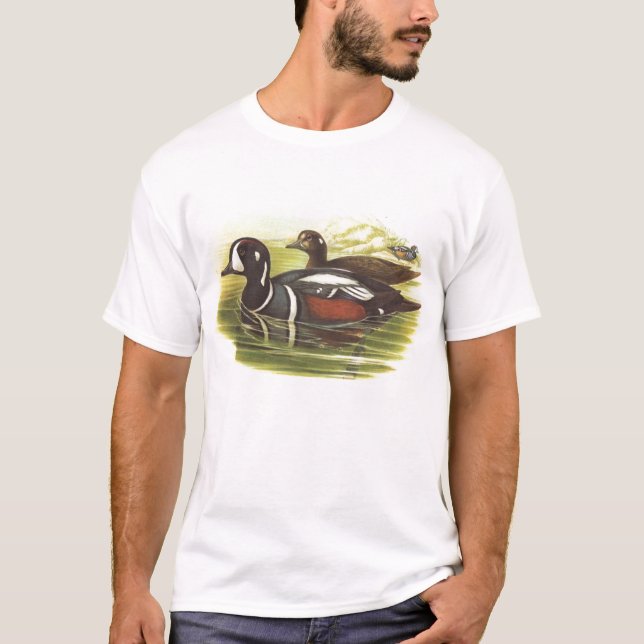 T-shirt Gould - canard de harlequin - histrionicus de (Devant)