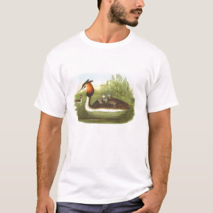 T-shirt Gould - grand grèbe crêté - cristatus de Podice