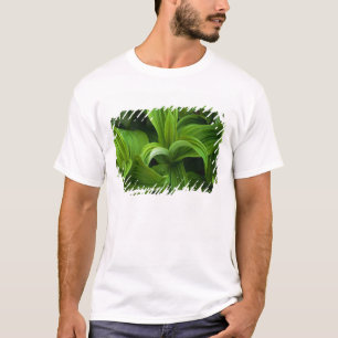 T-shirt Gouttes de rosée sur un Helabore faux